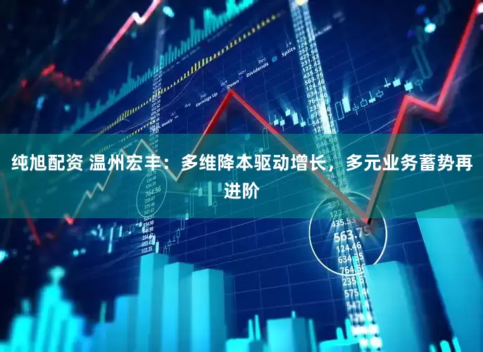 纯旭配资 温州宏丰：多维降本驱动增长，多元业务蓄势再进阶