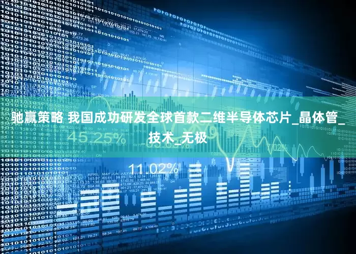 驰赢策略 我国成功研发全球首款二维半导体芯片_晶体管_技术_无极