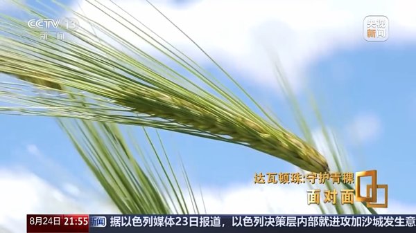 捷希缘 面对面丨青稞为何要保留延续四千多个品种？解码“西藏粮仓”密码