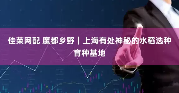 佳荣网配 魔都乡野｜上海有处神秘的水稻选种育种基地